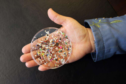 Mikroplastik kirliliğini önlemek için doğa insanlardan yardım istiyor
