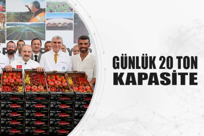 Sakarya Sera Mükemmeliyet Merkezi'nde hergün 20 ton domates toplanıyor
