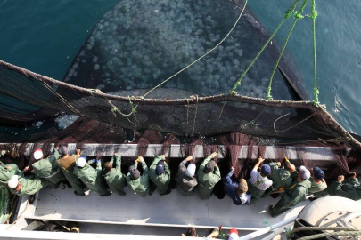 Balıkçılar 'Vira bismillah' diyerek denize açıldı