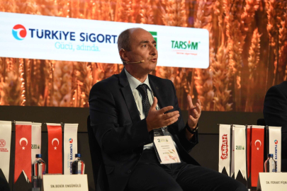 Bekir Engürülü, Tarsim Genel Müdürü oldu
