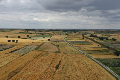 Edirne, Kırklareli ve Tekirdağ'da buğday rekoltesi bekleniyor