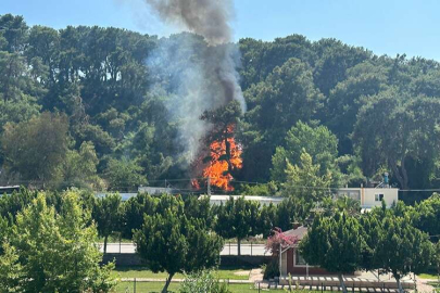 Antalya Aksu'da orman yangını çıktı