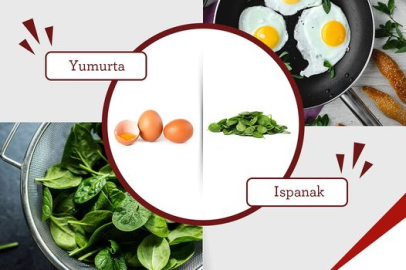 Yumurta ve ıspanakta hangisinin magnezyum miktarı daha fazla