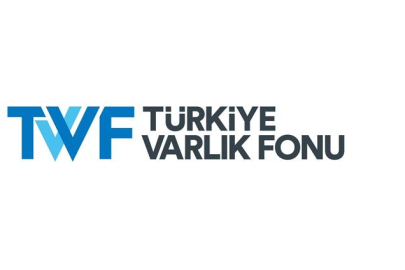 12 şirketin tüm hisseleri Türkiye Varlık Fonuna devredildi