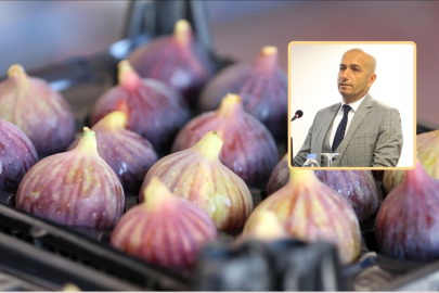 Prof. Dr. Senih Yazgan, siyah incire dikkat çekti