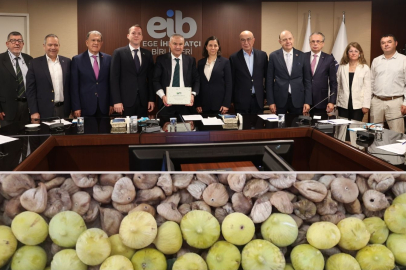 Aflatoksinli incir enerjiye dönüştü, İspanya’dan ödül geldi