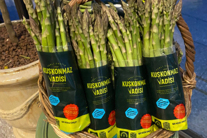 Kuşkonmazda 40 bin tonluk potansiyel hedefleniyor