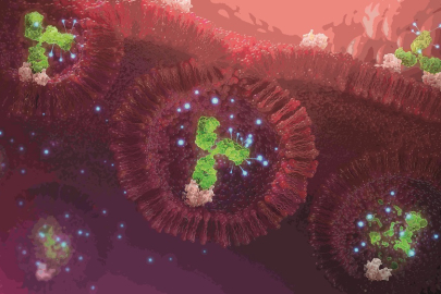 AstraZeneca devrim yaratan 80+ onkoloji çalışmasını açıkladı