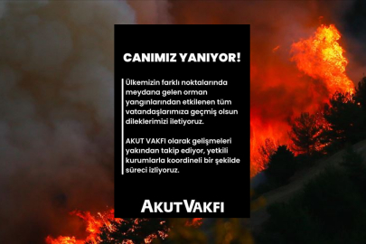 AKUT Vakfı soruyor: Orman yangınlarına karşı hazırlıklı mıyız?