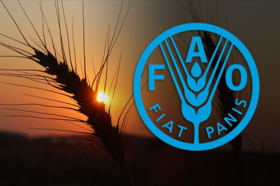 Türkiye, BM FAO Gıda ve Tarım Örgütü konsey üyeliğine seçildi