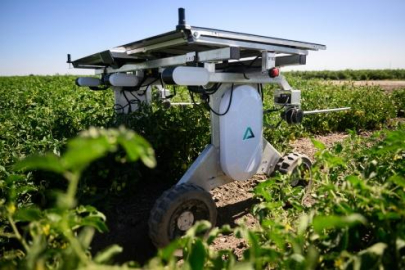 Yapay zeka robotları tarımda ilaçların ve işçilerin yerini alıyor