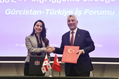 Türk iş insanları Gürcistan'da pazar arayışında