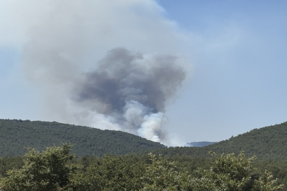 Sakarya ve Bilecik yangınlarına müdahale sürüyor