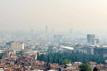 Bilecik'teki yangının dumanı Bursa'ya ulaştı