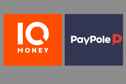 TCMB, IQ Money ve Paypole'nin faaliyet iznini iptal etti