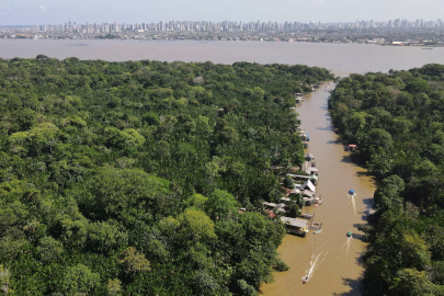 Bilim insanları Amazon’da ‘Zaman Makinesi’ kurdu