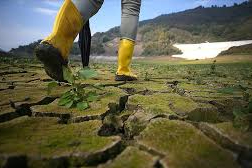 İklim değişikliği sadece çevresel değil, toplumsal bir dönüşüm meselesi