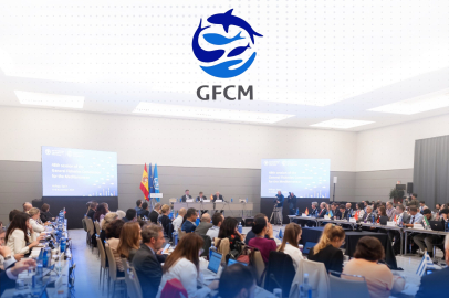 Türkiye, Akdeniz Genel Balıkçılık Komisyonu Başkanı seçildi