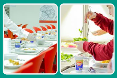 Mamabüs Catering'ten gıda güvenliği, çocuk sağlığı ve kurumsal sorumluluk