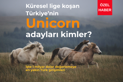 Türkiye'nin Unicorn adayı dev şirketleri