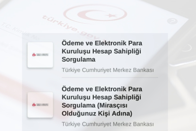 E-Devlet’ten yeni hizmet!