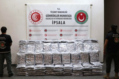 Gümrüklerde uyuşturucuya geçit verilmiyor