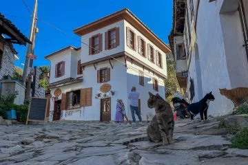 İzmir Şirince köyü, "Dünyanın En İyi Turizm Köyleri" listesinde