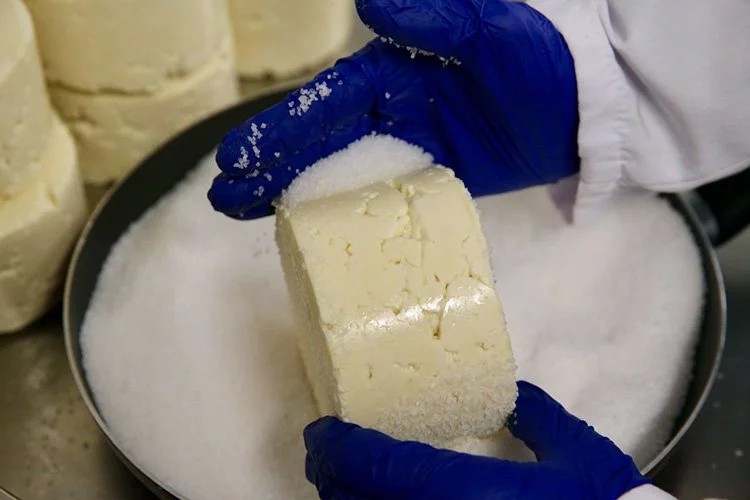 Mengen peyniri iç pazarda yaygınlaştırılacak